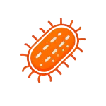 Sanitizacion contra hongos y bacterias